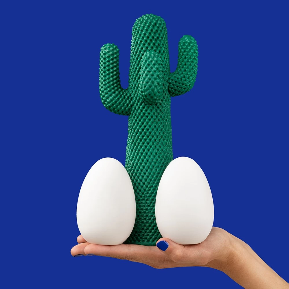 Guframini God Cactus 7 Guframini God Cactus - Image 5