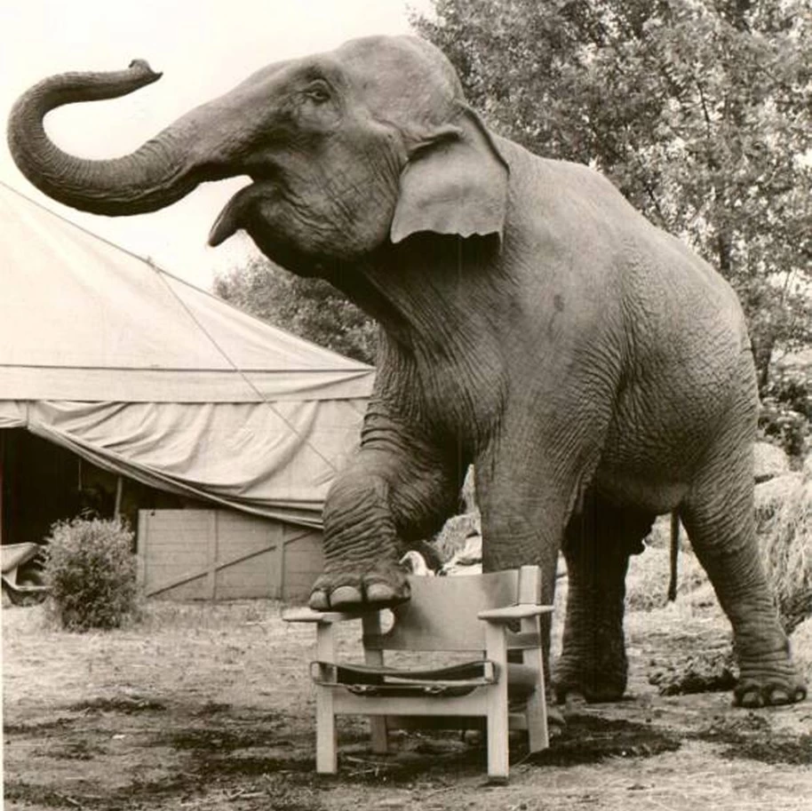 The Spanish Chair 16 The Spanish Chair - Image 14