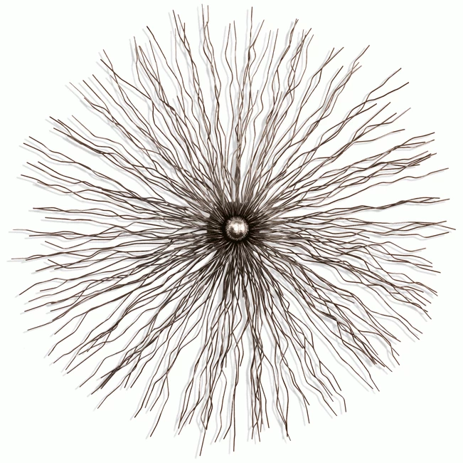 Spinical Wandskulptur 3 Spinical Wandskulptur