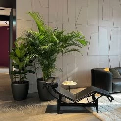 4 Chaise Longue à Reglage Continu Noire Liege -Möbel & Dekoration 6 IMG 3477 1280x1280