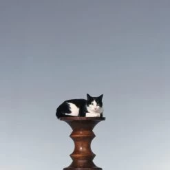 Eames Stools A -Möbel & Dekoration 706431 1280x1280 1