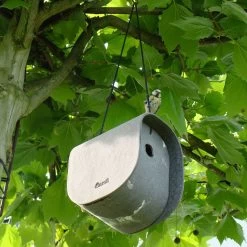 Birdy Nistkasten -Möbel & Dekoration Birdy E 1280x1280