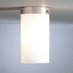 Deckenleuchte DMB 31