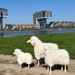 Schaf 80 Cm -Möbel & Dekoration IMG 4499 1280x1280 1