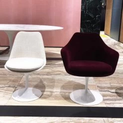 Tulip Armlehnstuhl (Vollpolster) 16 Tulip Armlehnstuhl (Vollpolster) -Möbel & Dekoration IMG 4660 1280x1280