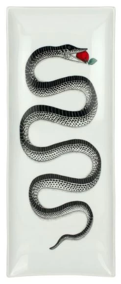 Schale Snake