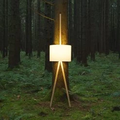 Luca Lean Wandstehleuchte 14 Luca Lean Wandstehleuchte -Möbel & Dekoration maigrau LucaLean wald 3 1280x1280